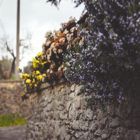 Agriturismo La Collina Toscana Pieve a Maiano ภายนอก รูปภาพ