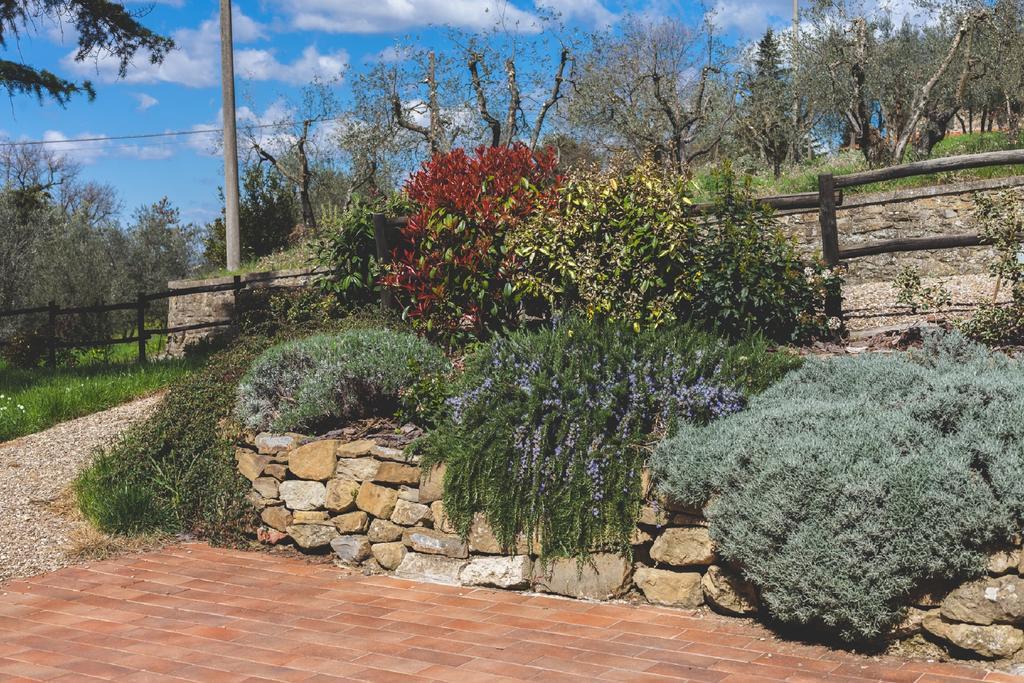 Agriturismo La Collina Toscana Pieve a Maiano ภายนอก รูปภาพ