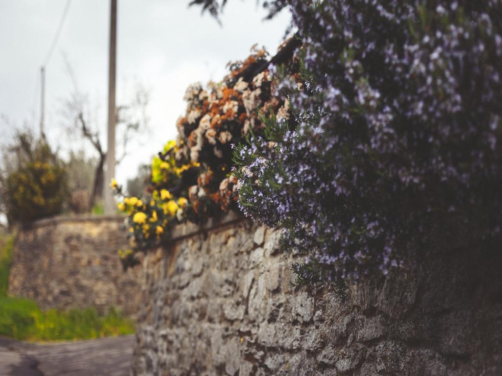 Agriturismo La Collina Toscana Pieve a Maiano ภายนอก รูปภาพ