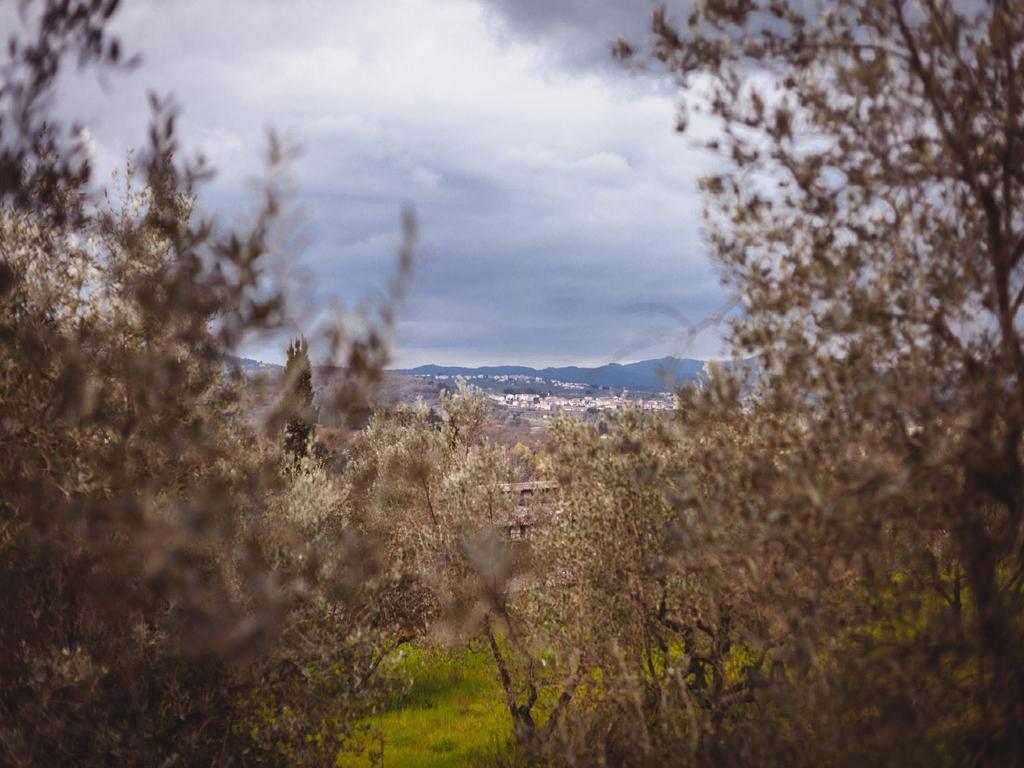 Agriturismo La Collina Toscana Pieve a Maiano ภายนอก รูปภาพ
